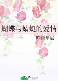 蝴蝶与蜻蜓的爱情