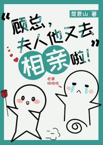 顾总,夫人他又去相亲啦!
