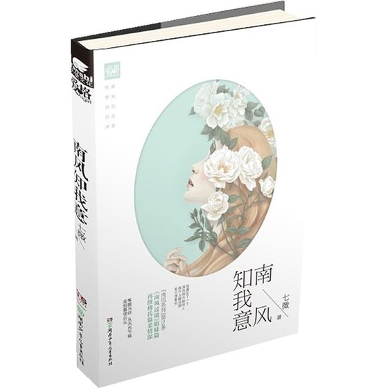 南风知我意（出书版）