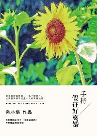 手持假證好離婚