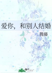 爱你，和别人结婚
