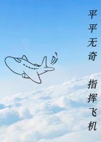 平平無奇，指揮飛機